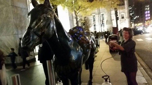 Macy’s Horse 